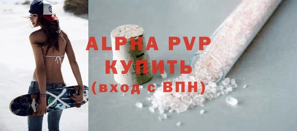 ГАЛЛЮЦИНОГЕННЫЕ ГРИБЫ Гусев