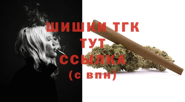 2c-b Гусиноозёрск