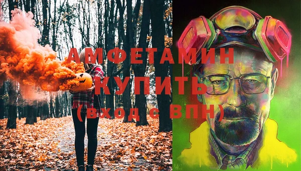 ГАЛЛЮЦИНОГЕННЫЕ ГРИБЫ Гусев