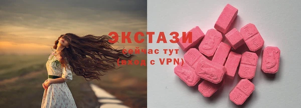 ГАЛЛЮЦИНОГЕННЫЕ ГРИБЫ Гусев