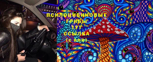 2c-b Гусиноозёрск