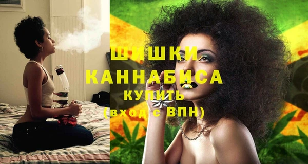 ГАЛЛЮЦИНОГЕННЫЕ ГРИБЫ Гусев