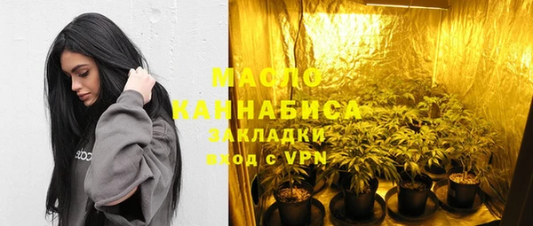 ГАЛЛЮЦИНОГЕННЫЕ ГРИБЫ Гусев