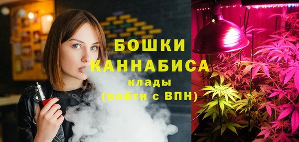 ГАЛЛЮЦИНОГЕННЫЕ ГРИБЫ Гусев