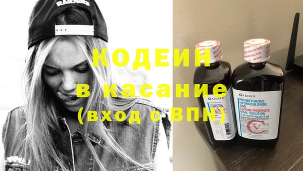 ГАЛЛЮЦИНОГЕННЫЕ ГРИБЫ Гусев
