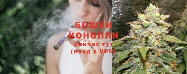 альфа пвп Горнозаводск