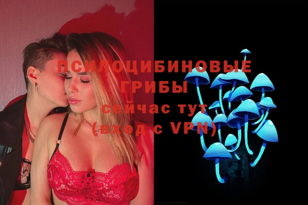 кокс Гусь-Хрустальный