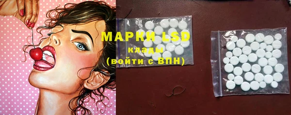 ГАЛЛЮЦИНОГЕННЫЕ ГРИБЫ Гусев