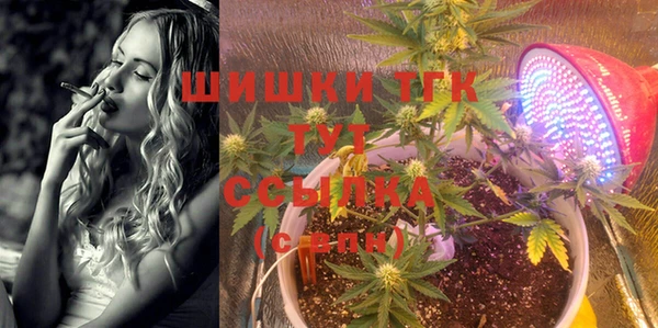 кокс Гусь-Хрустальный