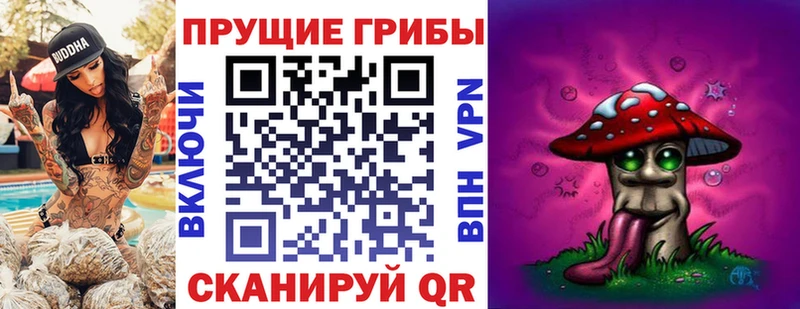 Галлюциногенные грибы MAGIC MUSHROOMS  Дедовск 